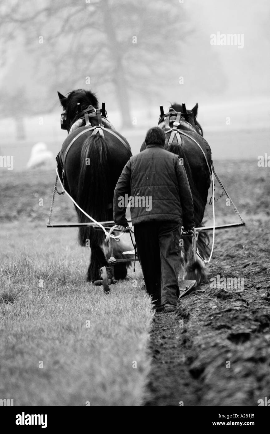 Horse & Plough Stock Photo Alamy