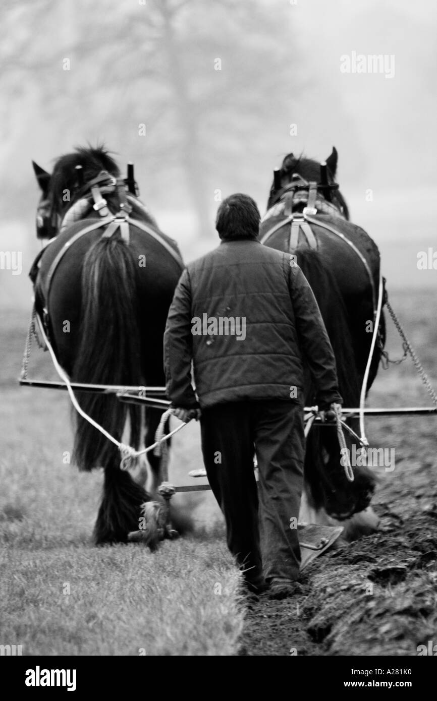 Horse & Plough Stock Photo Alamy