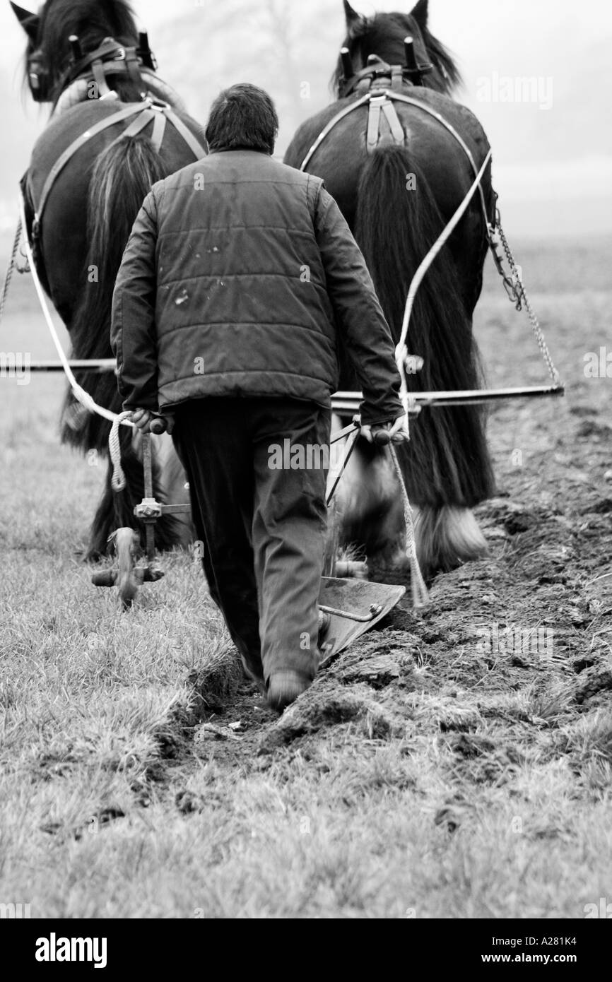 Horse & Plough Stock Photo Alamy
