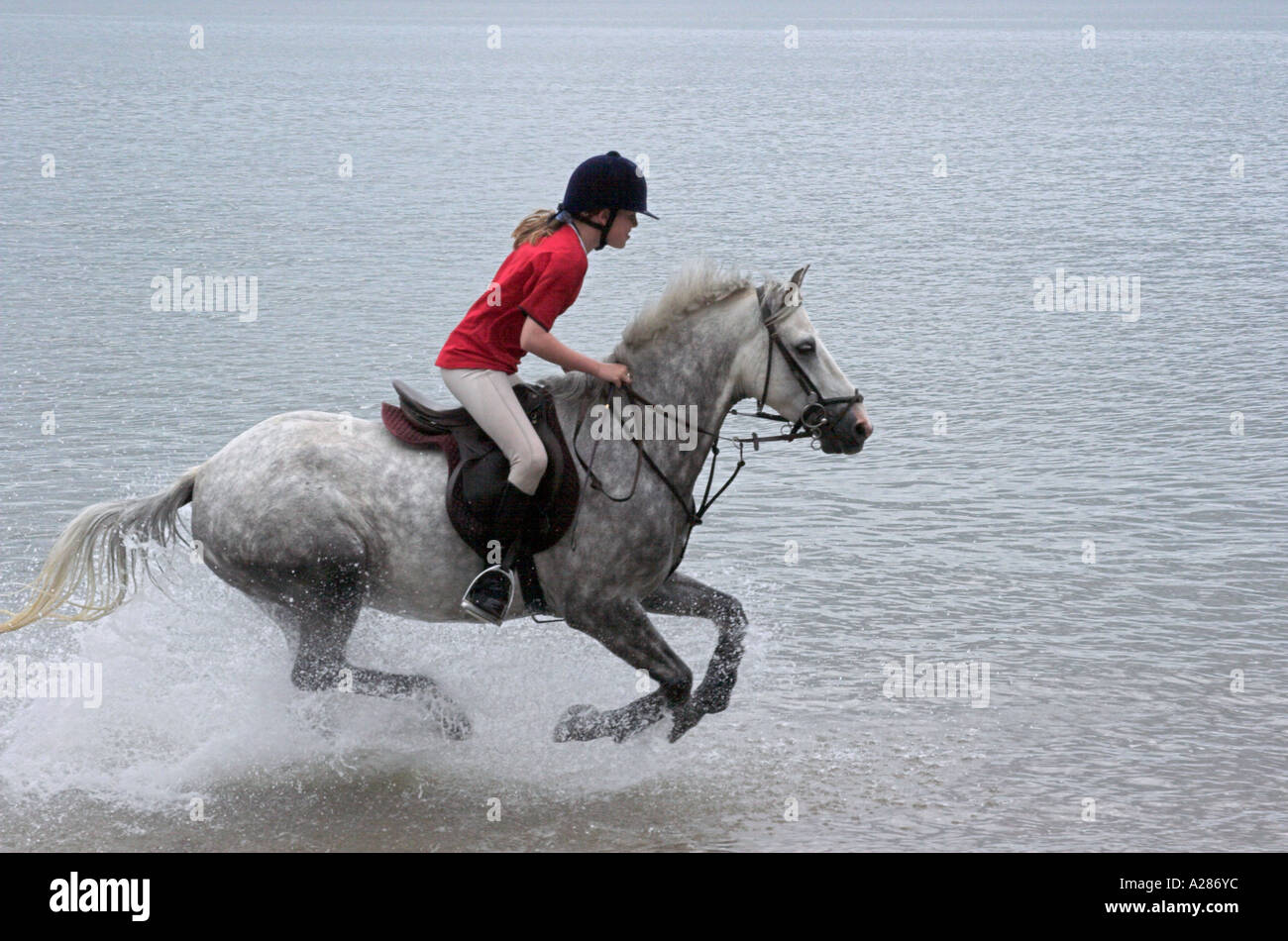 Horse with girl rider galloping through sea at seaside Stock Photo