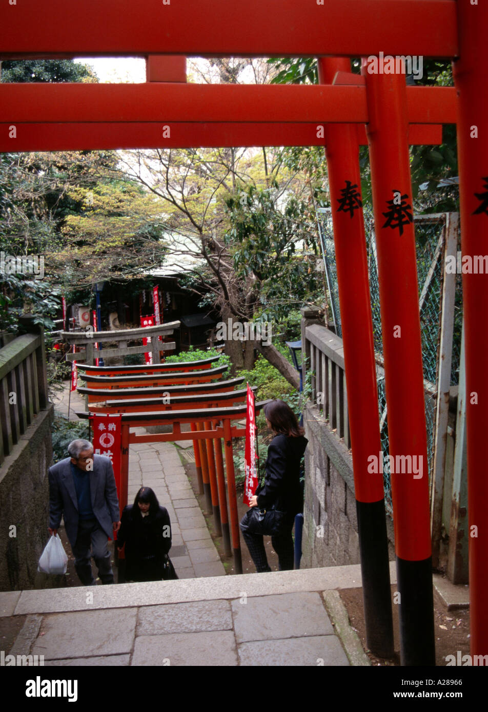 Tori in Ueno Park in Tokyo Stock Photo Alamy