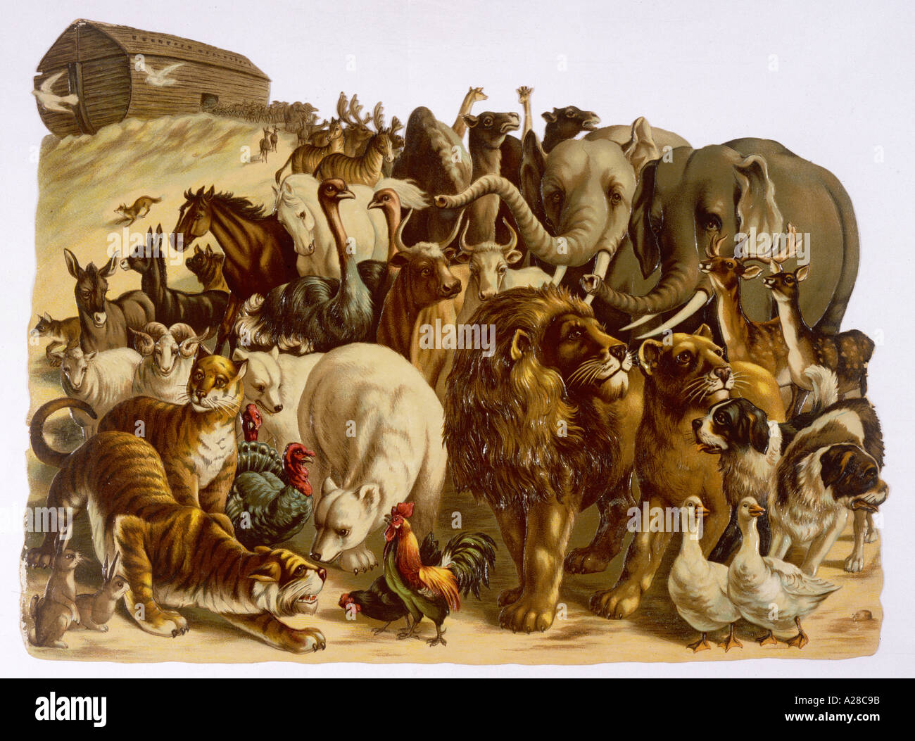 Two animals noah's ark hi-res stock photography and images - Alamy