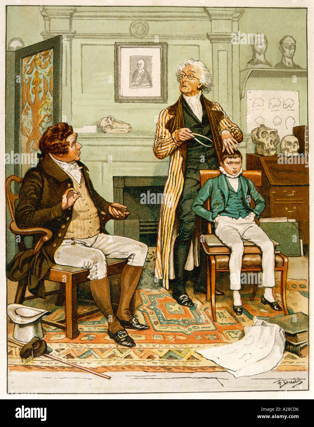 Phrenology calipers hires stock photography and images Alamy