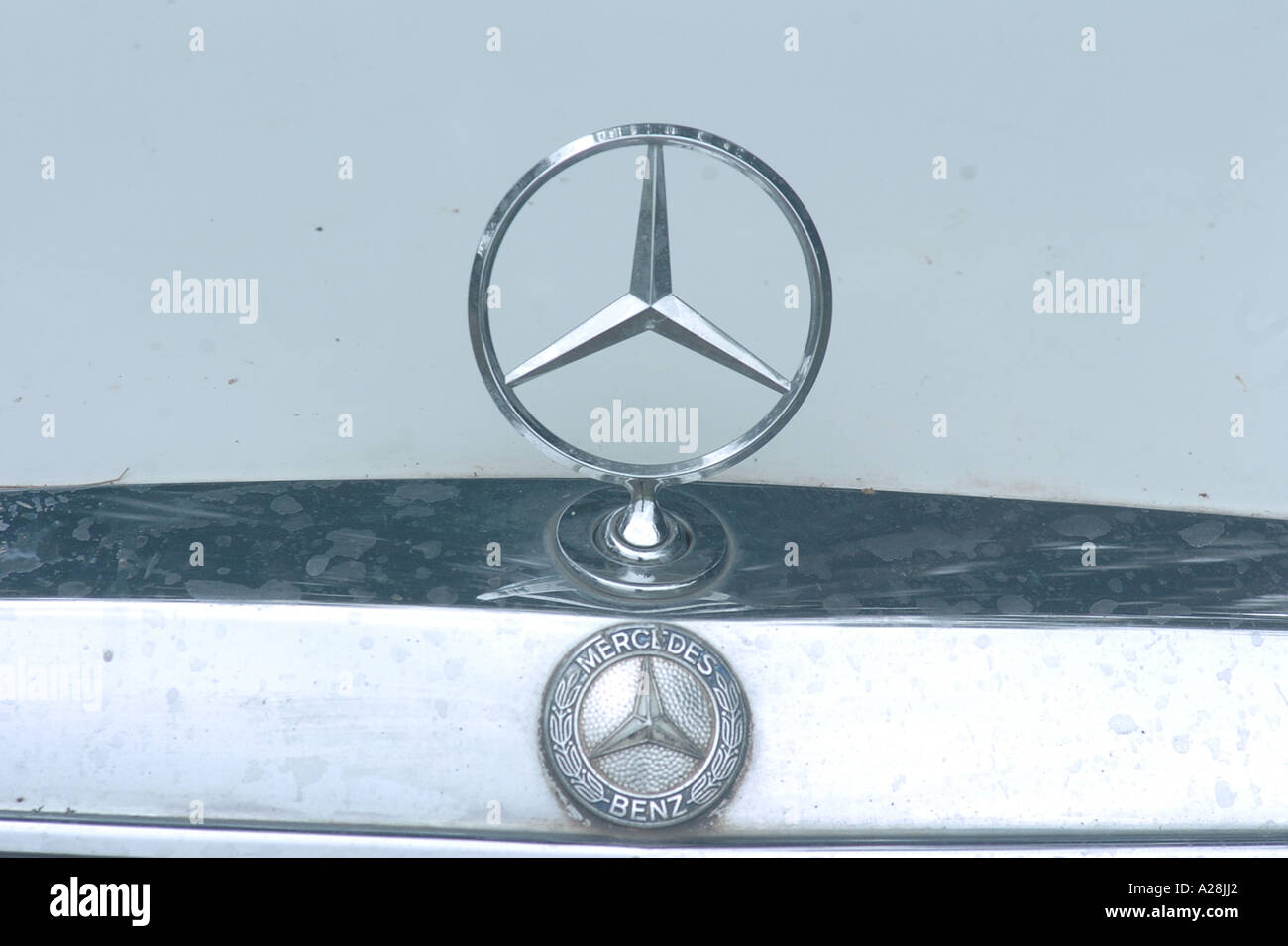 VCA76539 Round symbol Emblem of Mercedes Benz car Stock Photo