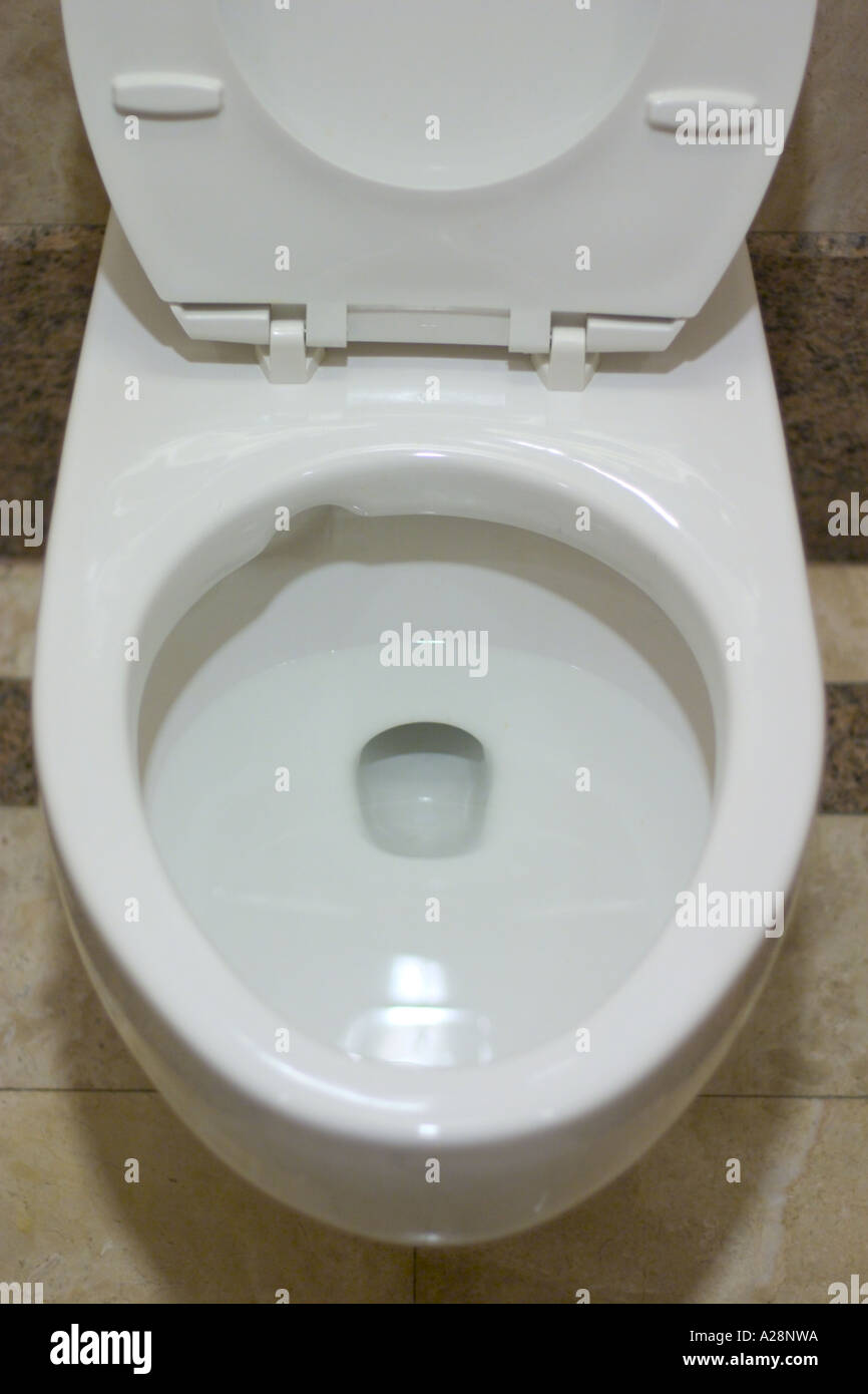 toilet bowl with seat cover up Stock Photo Alamy