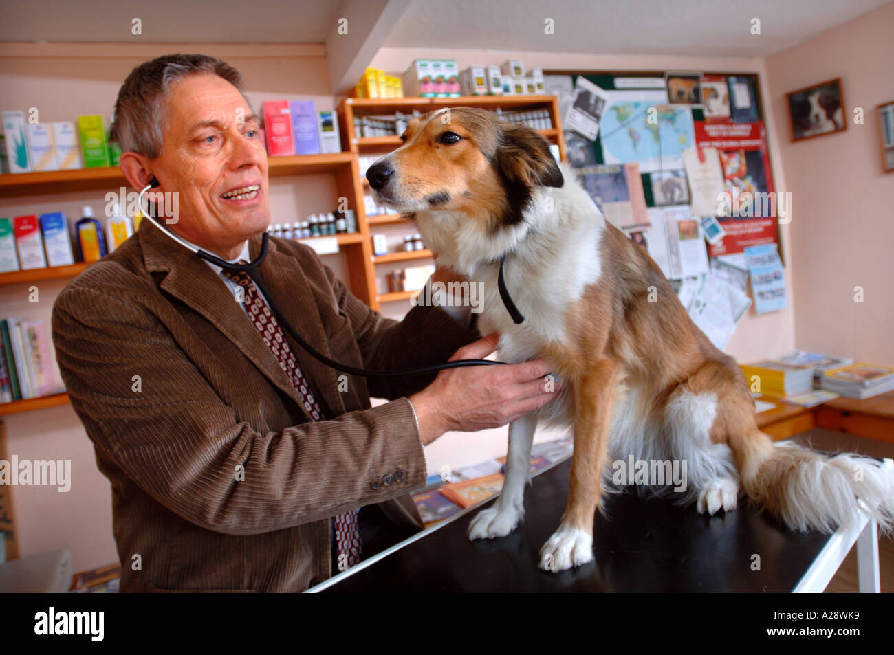 Christopher day vet hires stock photography and images Alamy