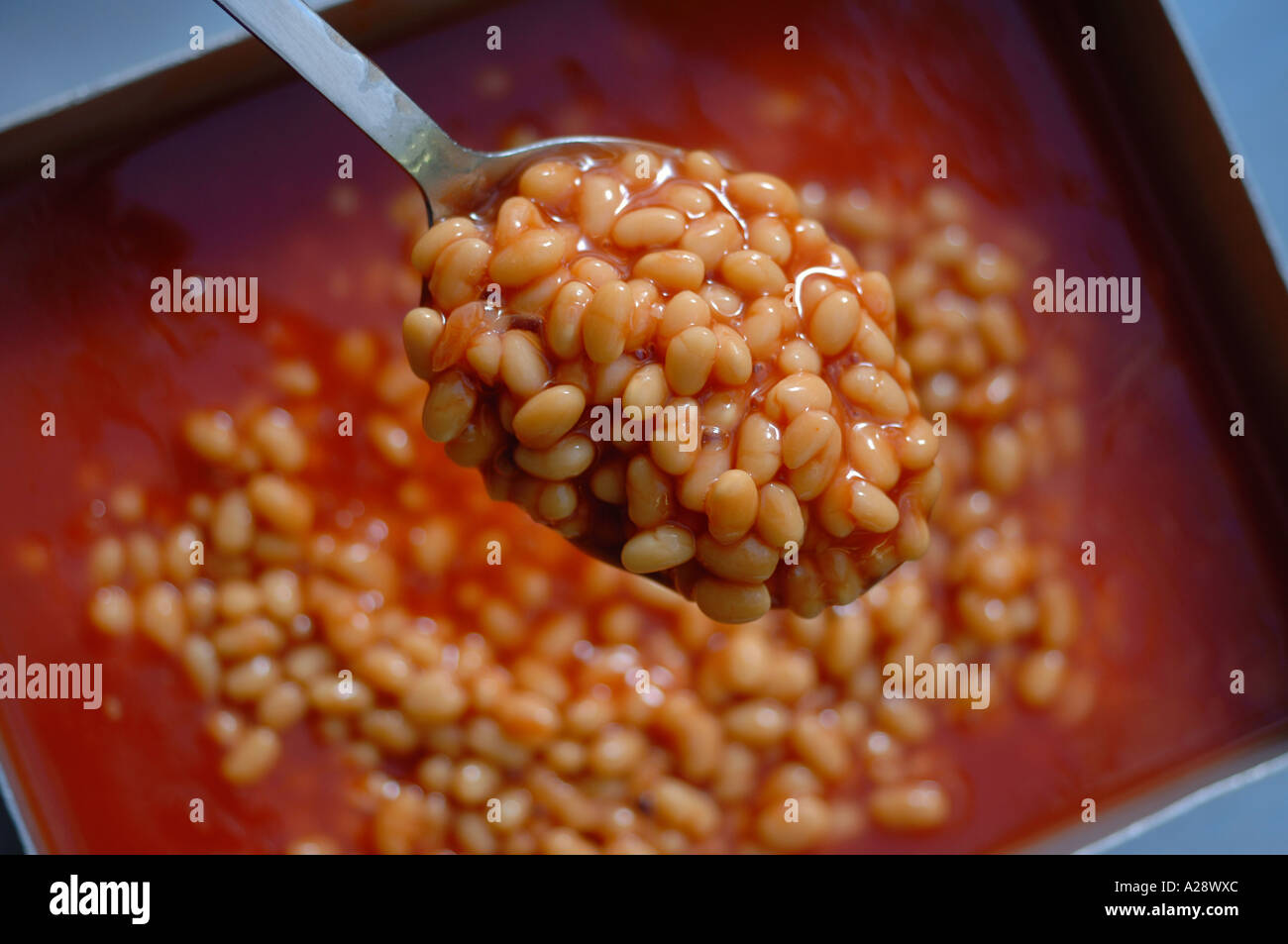 A BOWL OF BAKED BEANS FOR NEW HEALTHY SCHOOL DINNERS UK Stock Photo Alamy