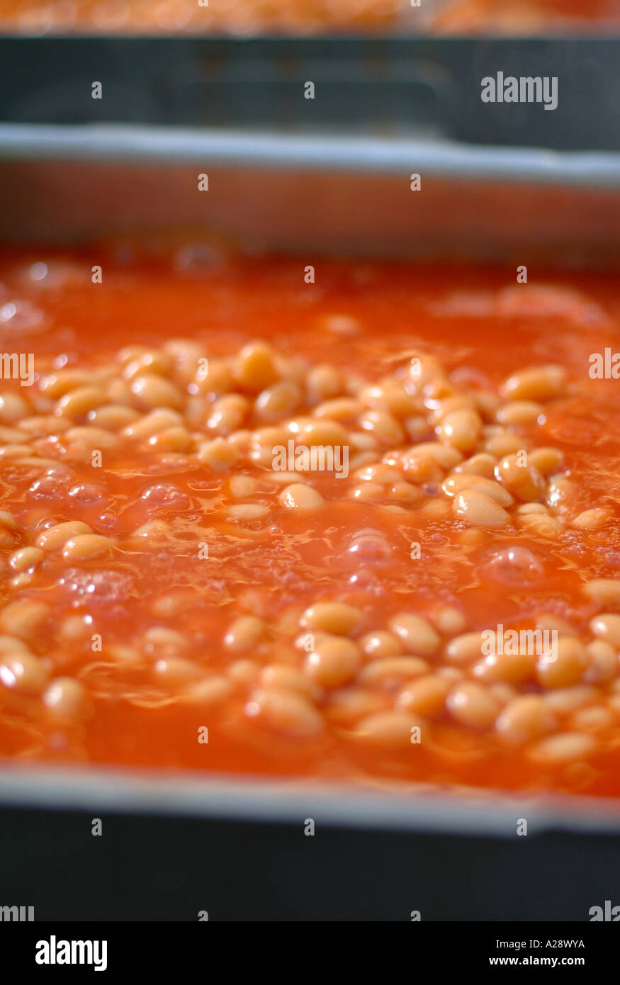 A BOWL OF BAKED BEANS FOR NEW HEALTHY SCHOOL DINNERS UK Stock Photo Alamy
