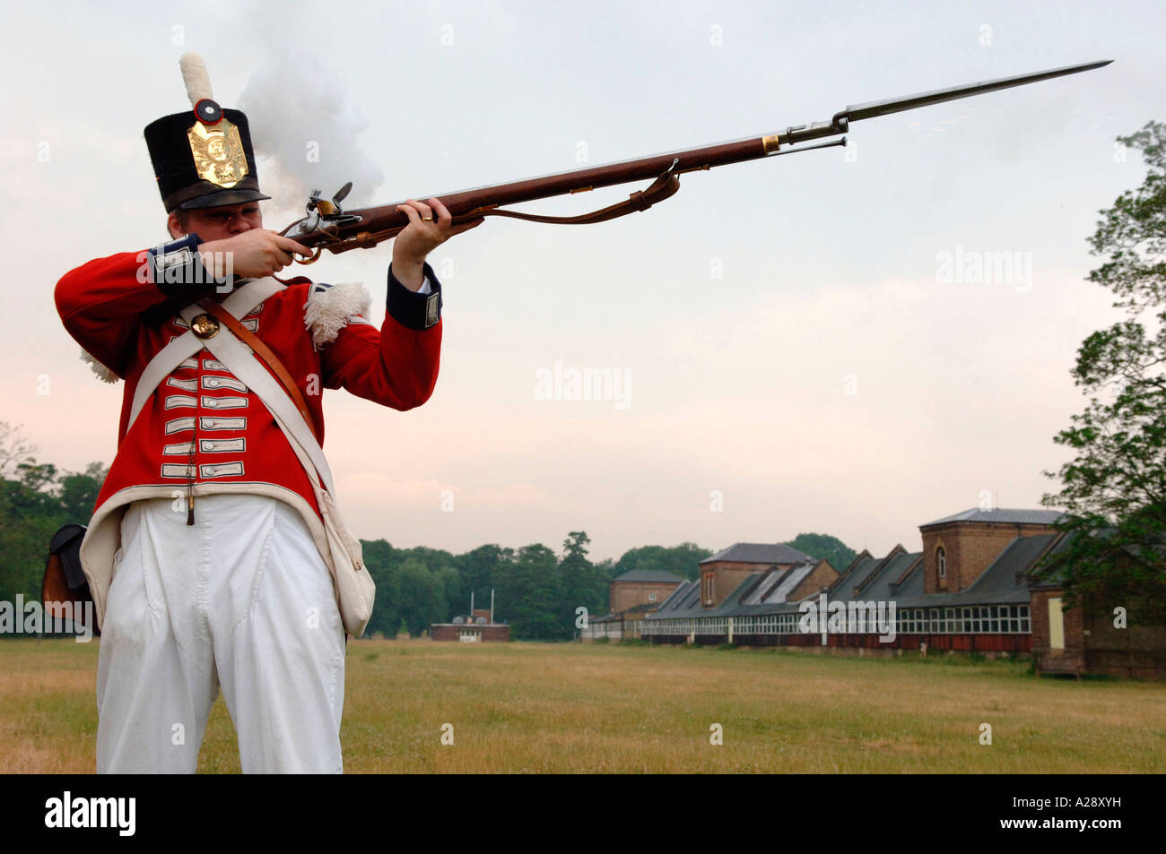 Man in historic English army soldier uniform firing a Rifle and Bayonet Stock Photo