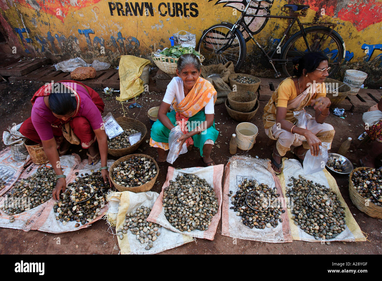 Market trader selling fresh shell fish Mapusa city Goa India Stock ...