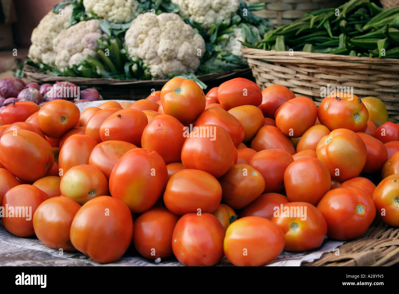 Tomatoes on sale Mapusa City Goa India Stock Photo