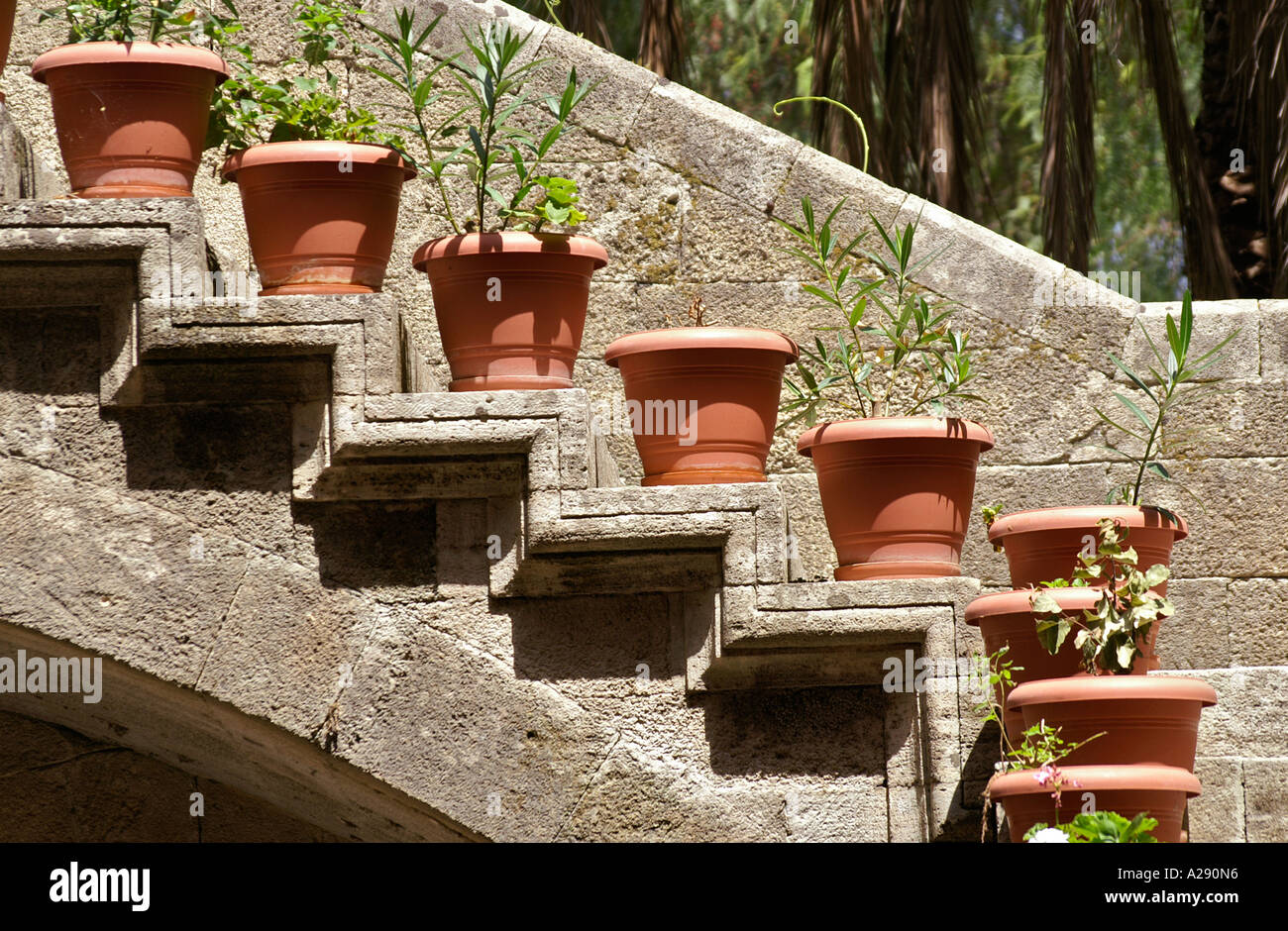 Plant pots on courtyard staircase in the Inn of France on Street of the  Knights RHODES Greece Stock Photo - Alamy