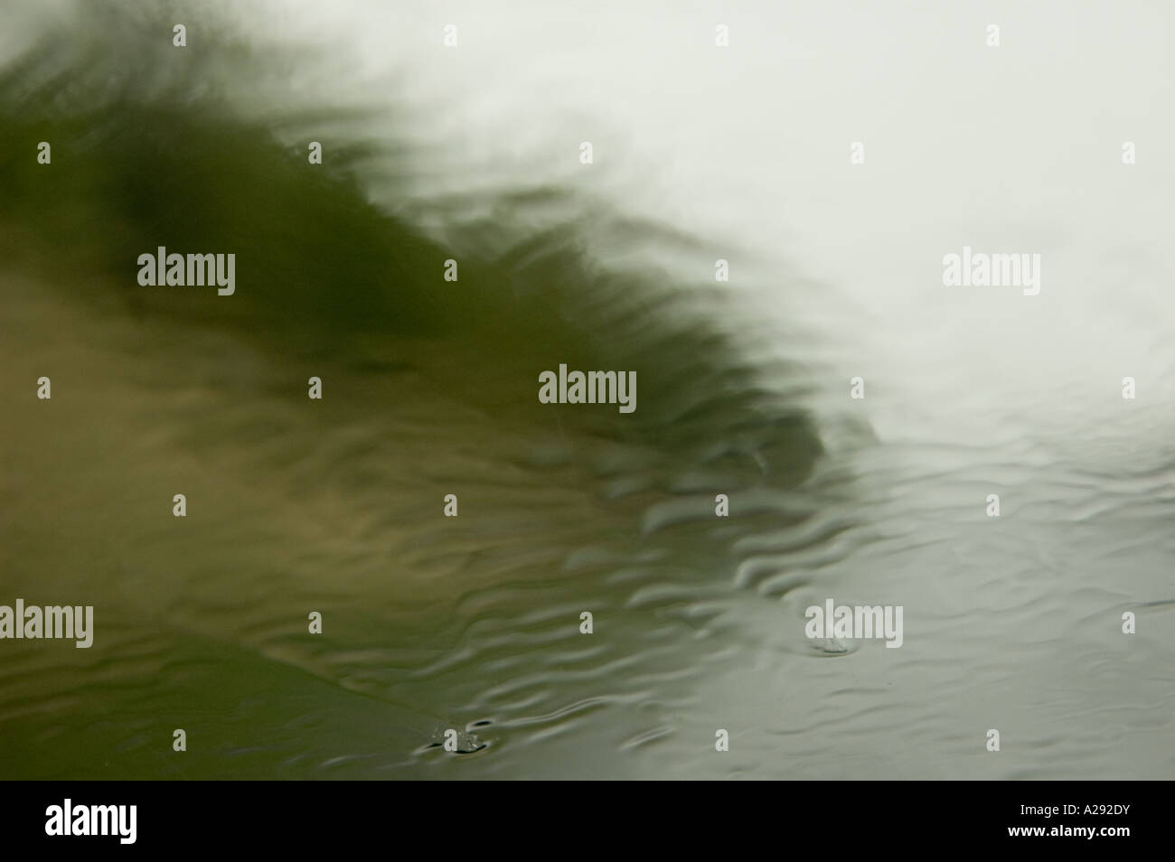 Water pattern on windscreen Stock Photo - Alamy
