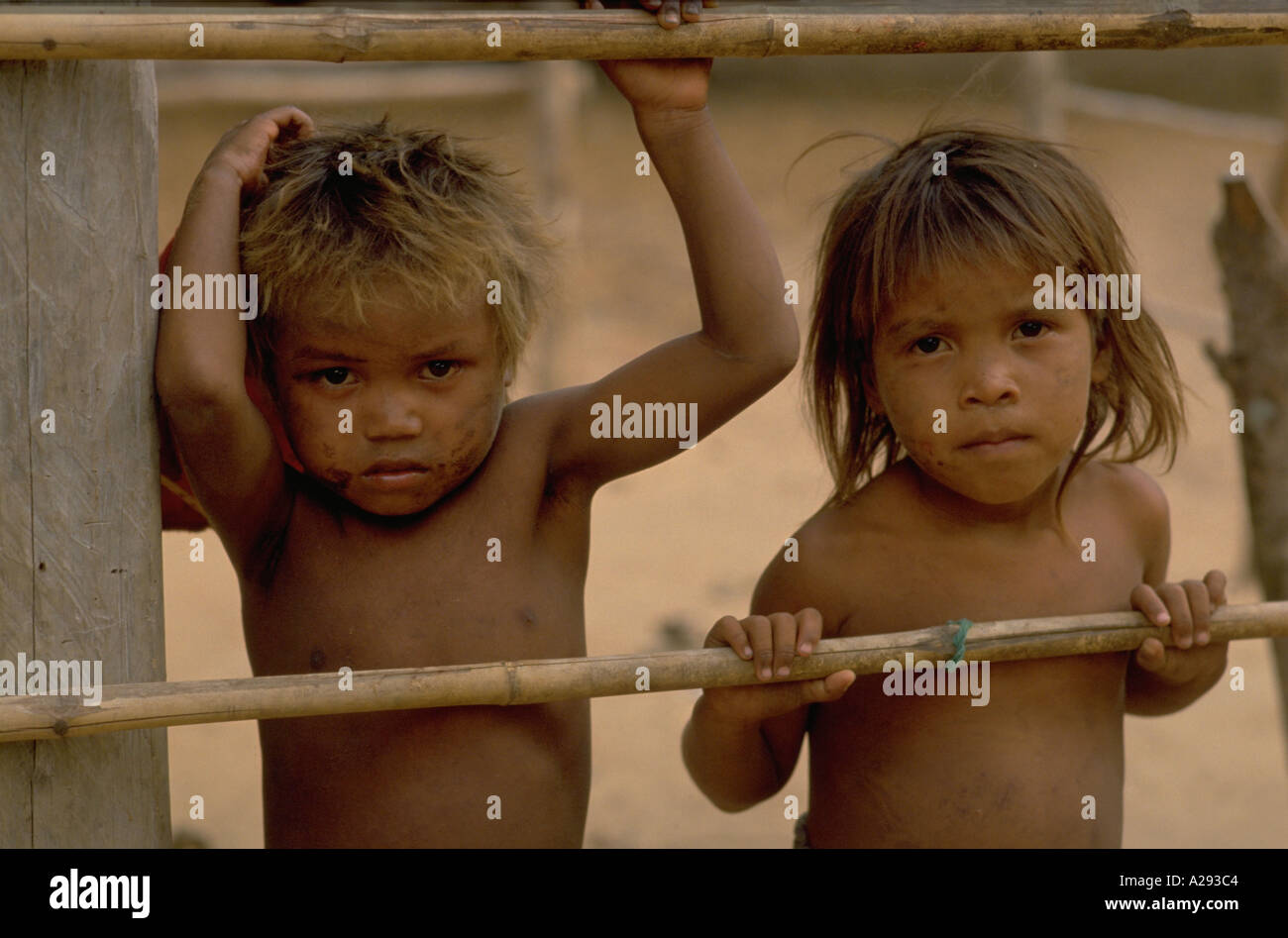 Two Yaruro indian children look through a fence at the Piedra Azul settlement indian reservation in Apure State Venezuela Stock Photo