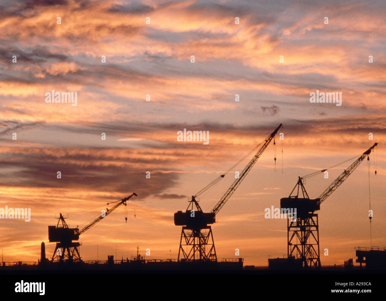 Cranes on docks at sunset in Boston Inner harbor Boston Massachusetts Stock Photo