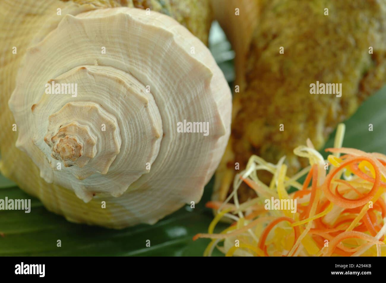 Baked stuffed conch with goose liver and fresh fungus Stock Photo - Alamy