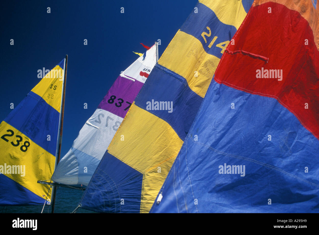 Sails on sailboats, Santa Barbara Harbor near Stearns Wharf Stock Photo