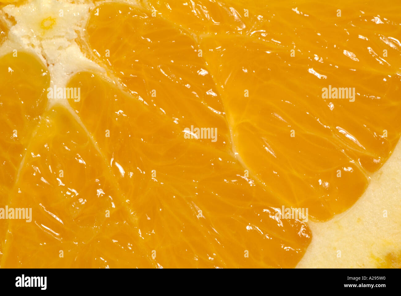Close up orange fruits in hi-res stock photography and images - Alamy