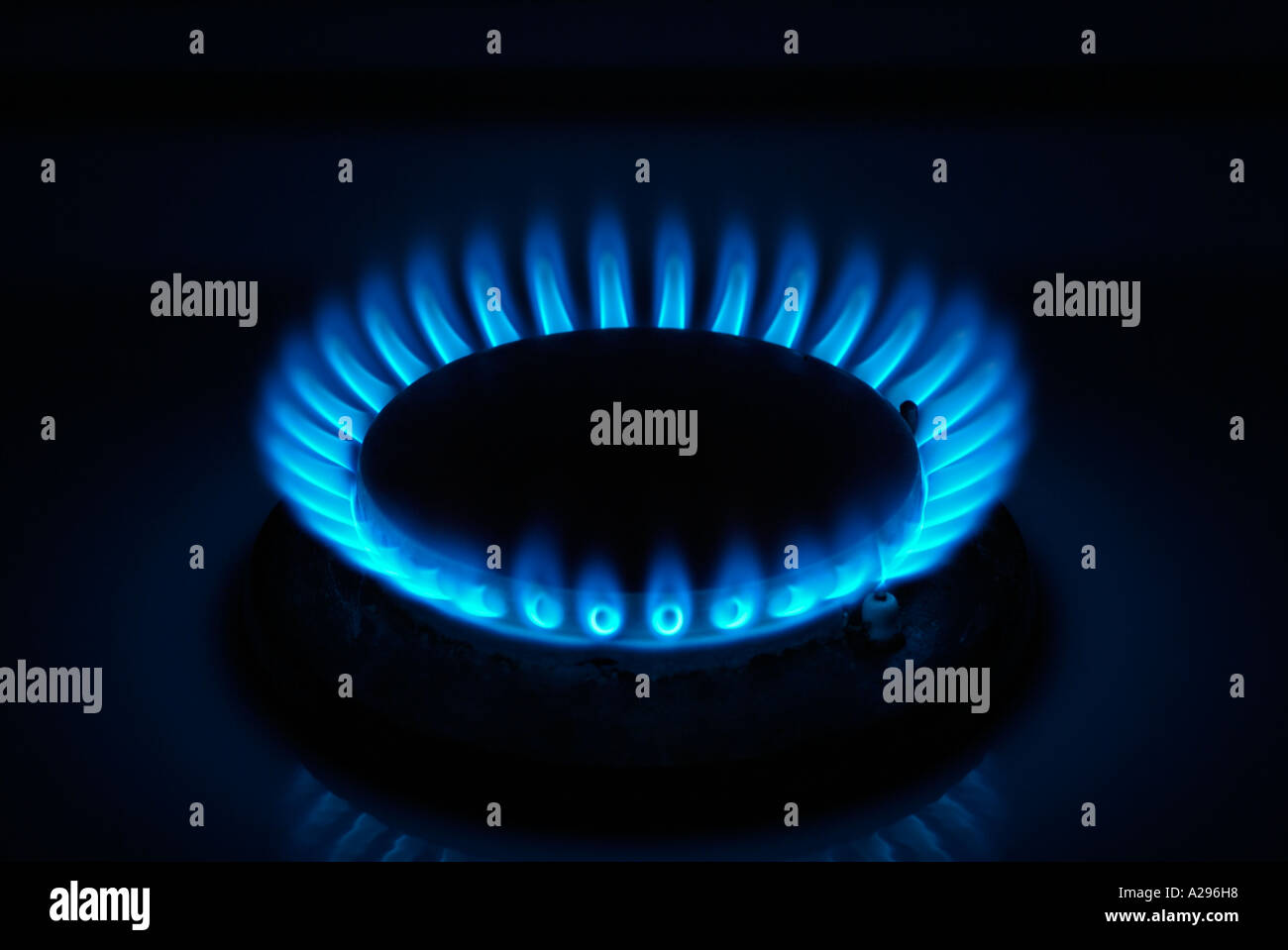 Blue Flame of a Gas Hob, Close Up Stock Photo Alamy