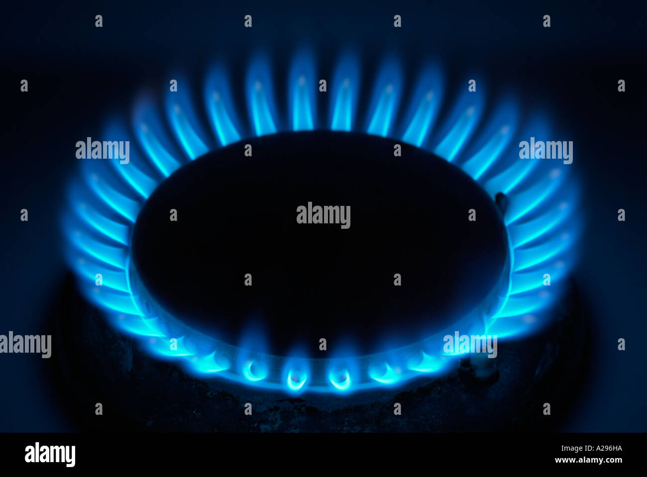 Blue Flame of a Gas Hob Close Up Stock Photo Alamy