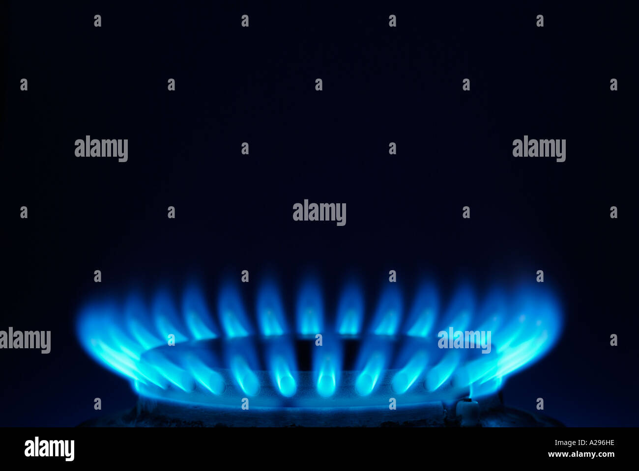 Blue Flame of a Gas Cooker Close Up Stock Photo Alamy