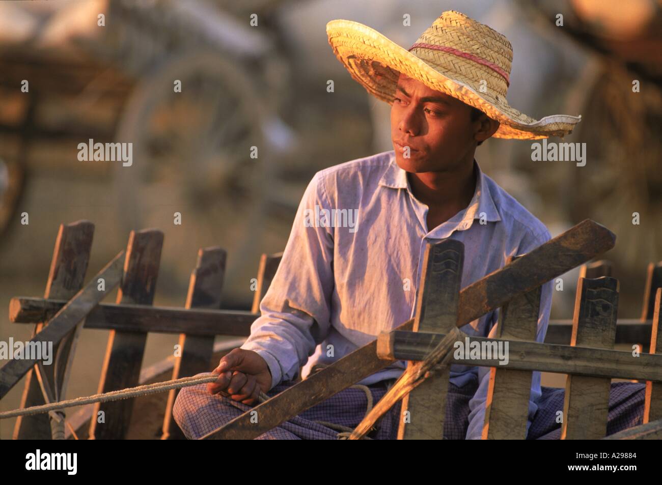 2nd bullock cart driver at a government rice depot near Bago Myanmar Burma Asia Upperhall Ltd Stock Photo