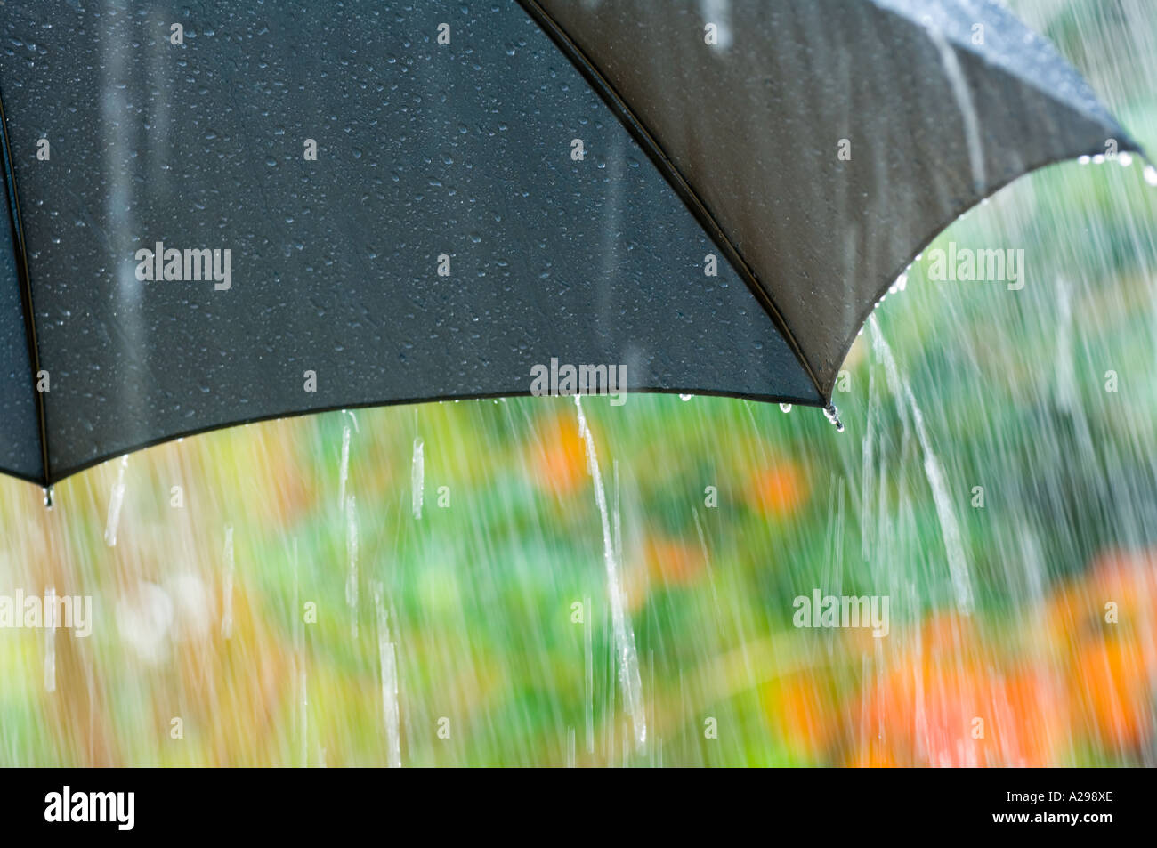 Black rain cloud garden hires stock photography and images Alamy
