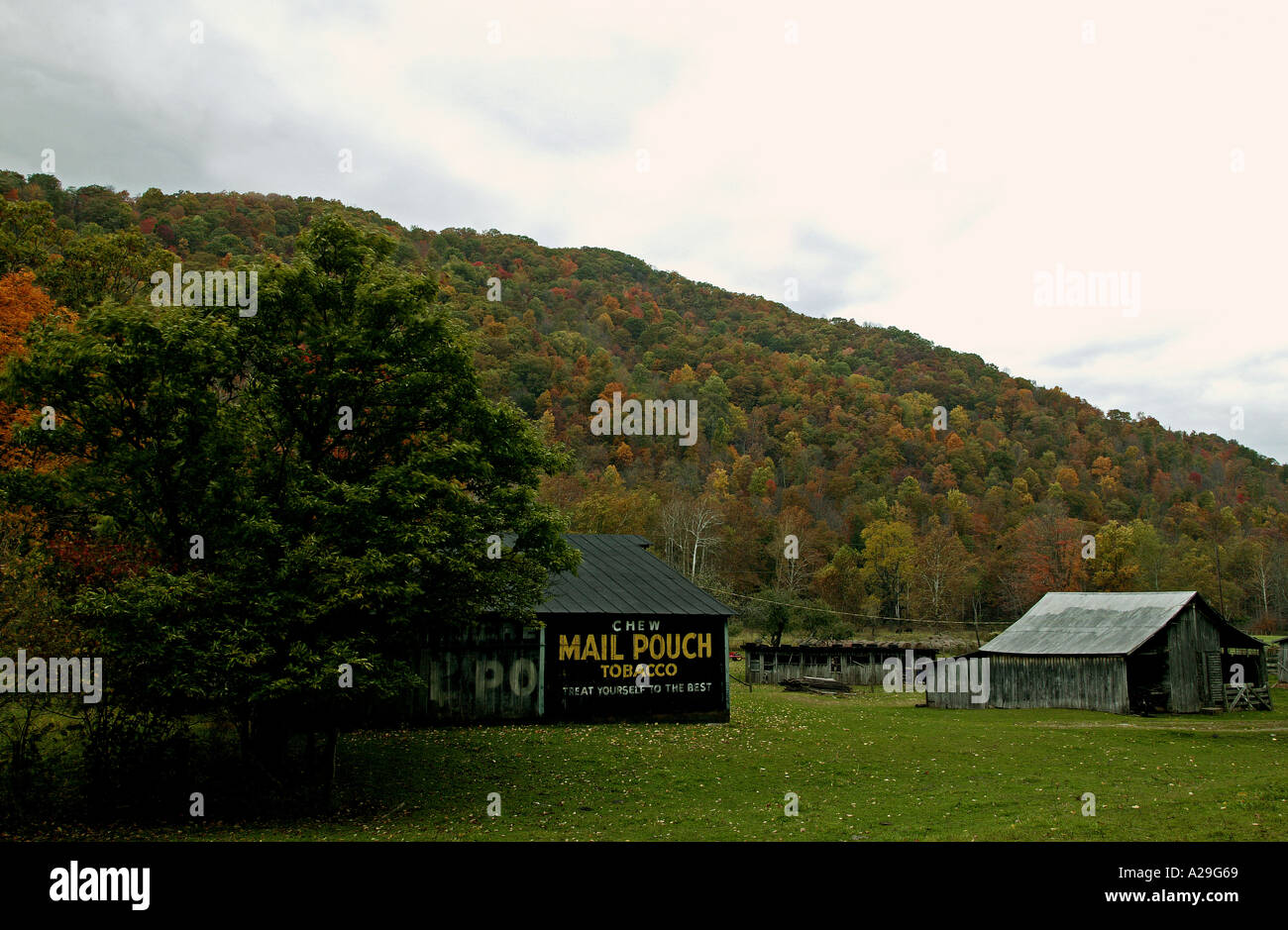 Mail Pouch Tobacco Barn  Stock Photo