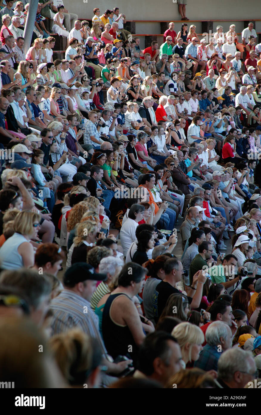Audience at dolphin show Loro Parque Tenerife Stock Photo