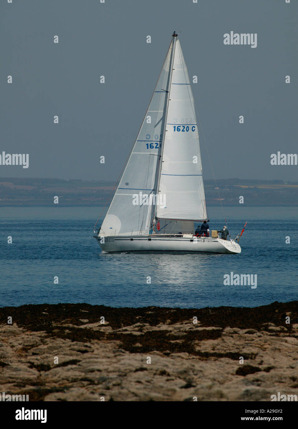 Yacht with white sail, sailing in Forth estuary, North Sea, East Coast, Scotland Stock Photo