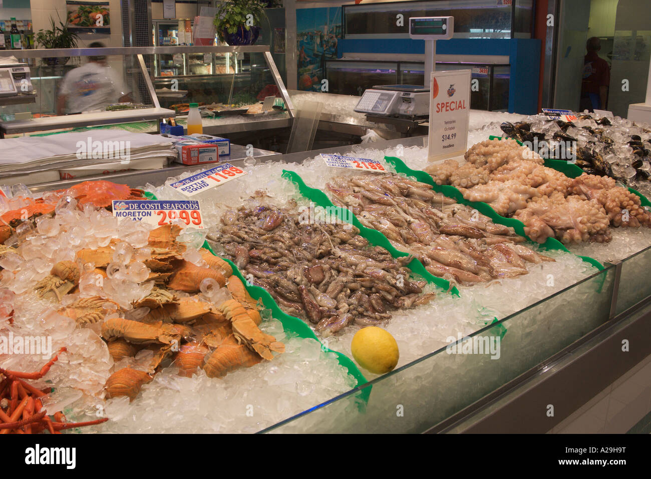 Seafood on sale at Sydney Fish Market Sydney Australia Stock Photo Alamy