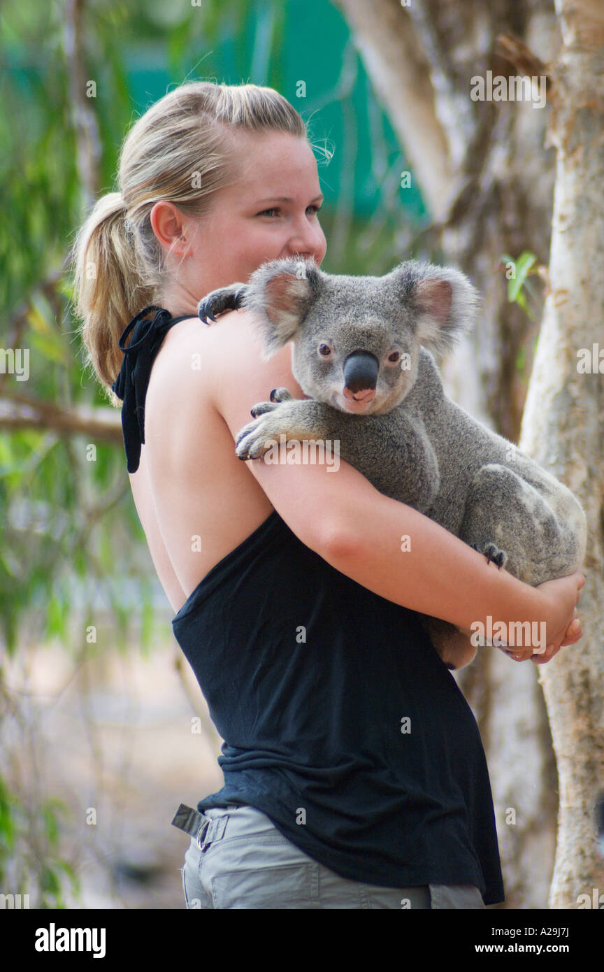 Tourist holding a Koala Stock Photo Alamy