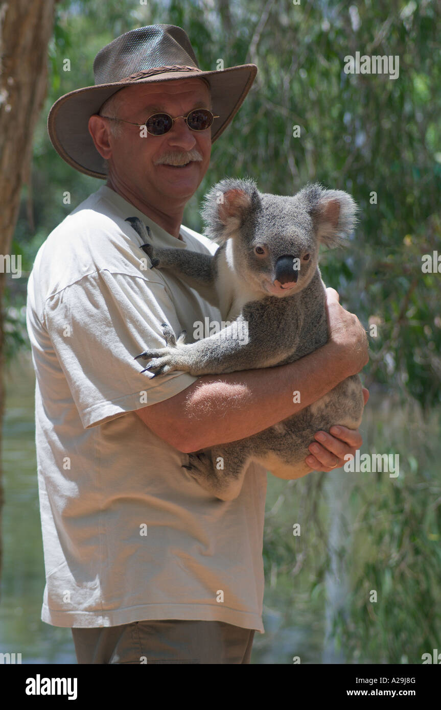 Tourist holding a Koala Stock Photo Alamy