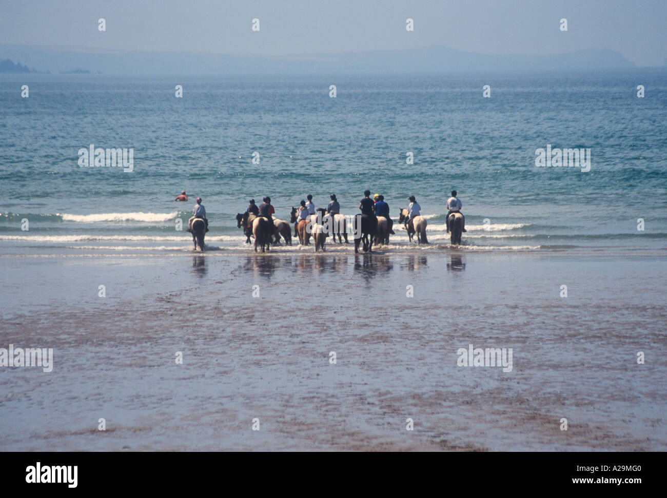 Horse Riding on Beach, Nolton Haven, Pembrokeshire, West Wales Stock
