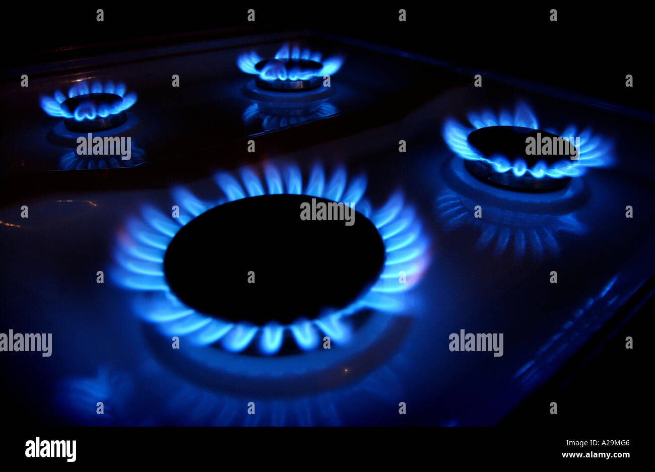 A gas hob on a cooker with four rings burning a blue gas colour Stock