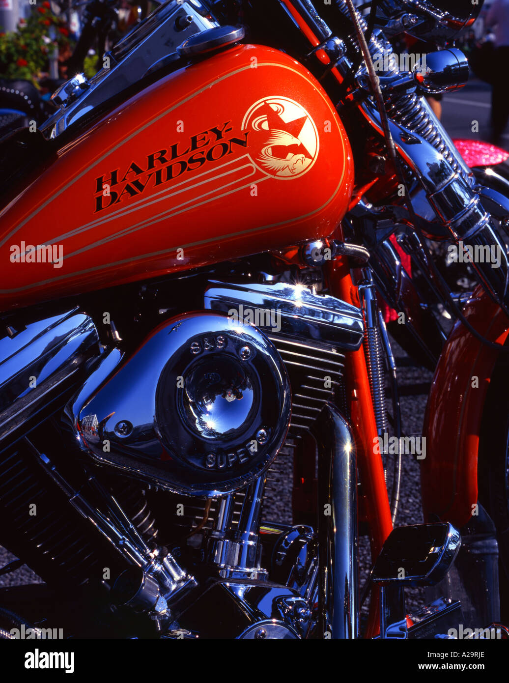 Harley Davidson Bike at Okinawa City Gate 2 Festival Stock Photo