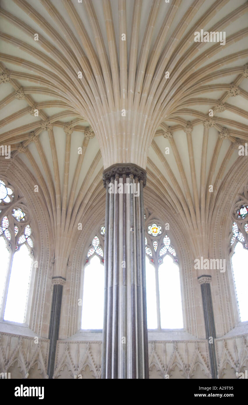 The Central Column