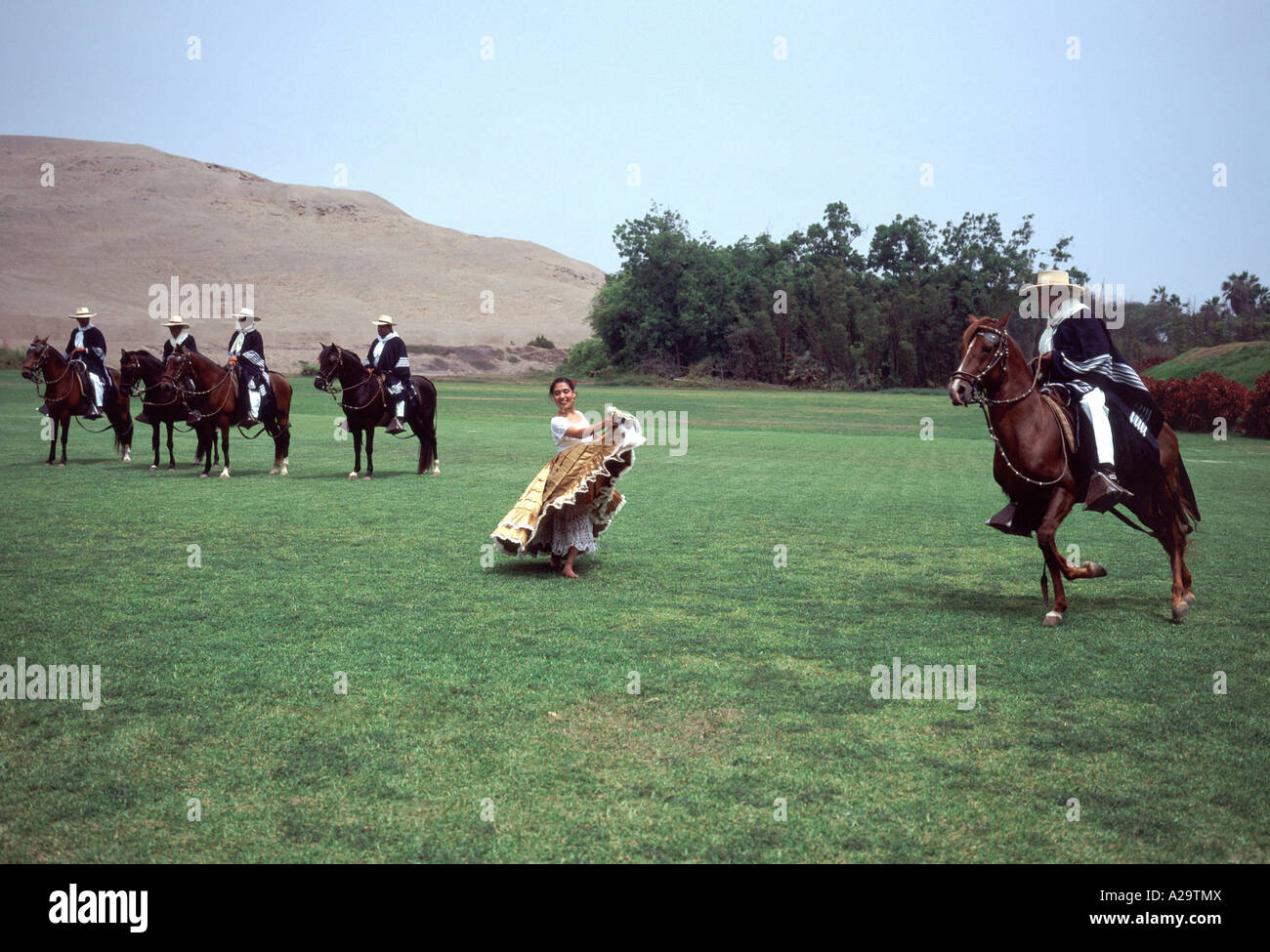 Marinera dancer and Peruvian Paso horse(caballo de paso) and rider go