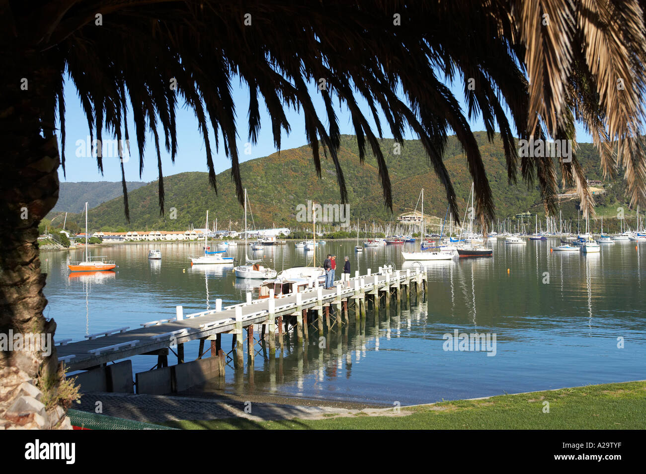 Waikawa Bay near Picton Marlborough Sounds South Island New Zealand Stock Photo Alamy