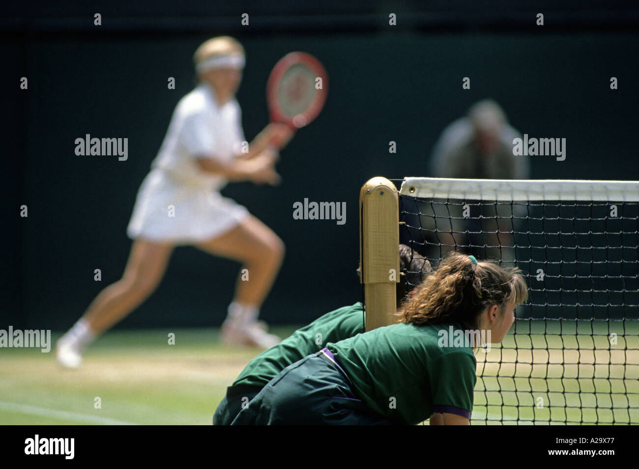 Ball girls wait at the net during a grass court womens tennis match Stock Photo