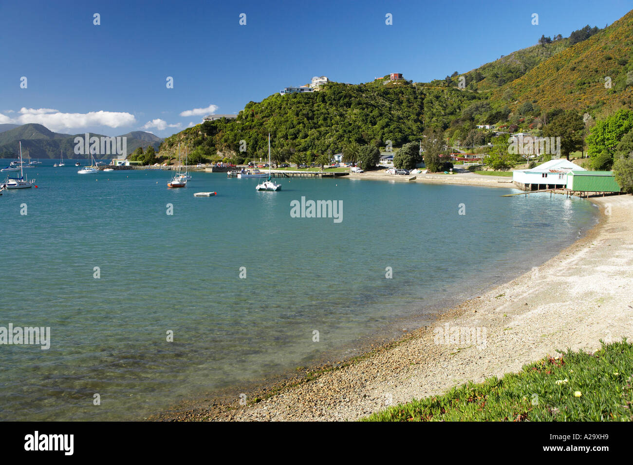 Waikawa Bay near Picton Marlborough Sounds South Island New Zealand Stock Photo Alamy