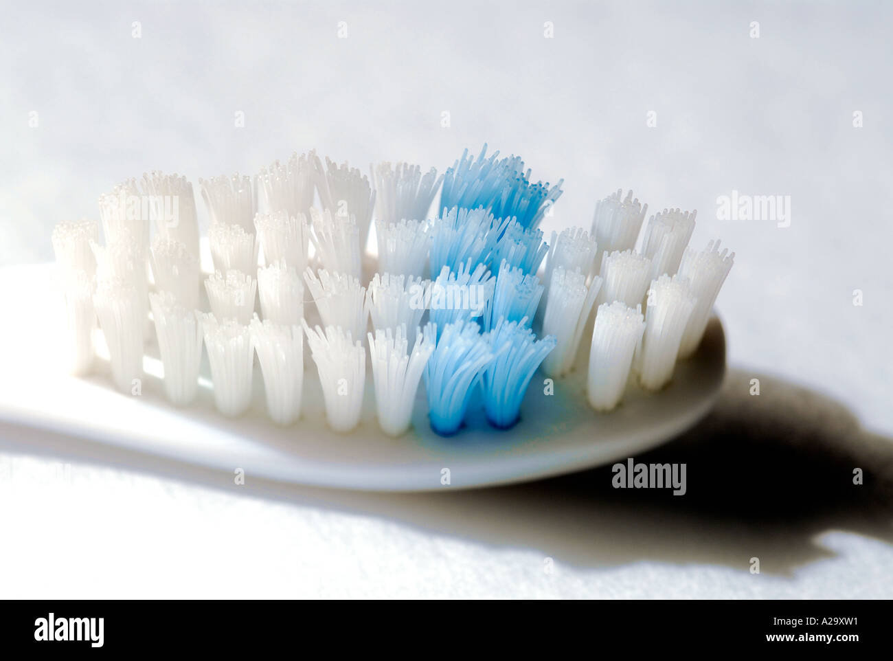 Toothbrush head, close-up Stock Photo