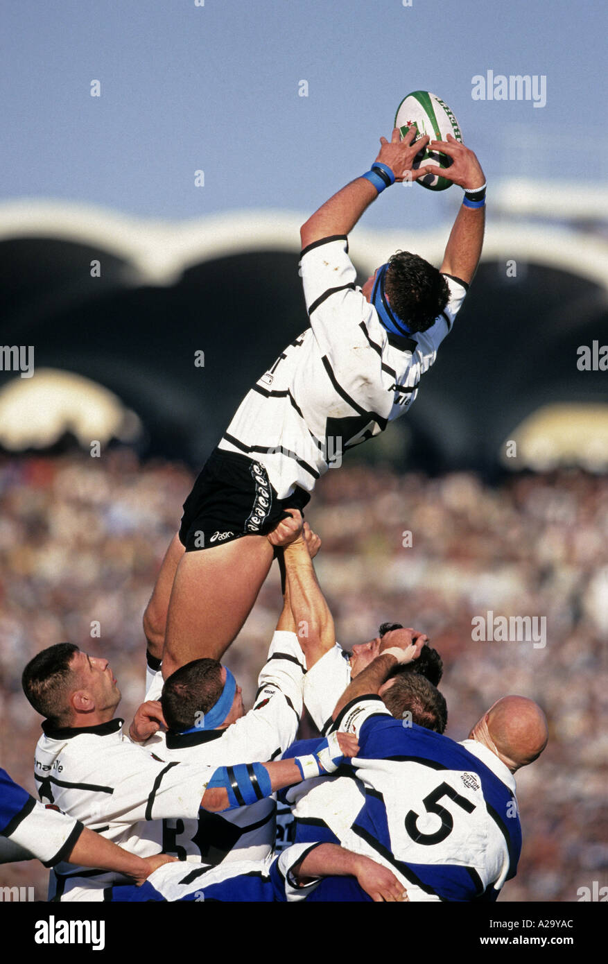 A player is lifted high by his team mates to claim the ball in a line out during a rugby union game Stock Photo