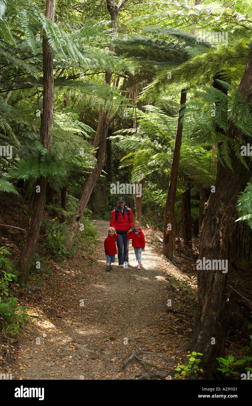 Queen Charlotte Track Marlborough Sounds South Island New Zealand Stock