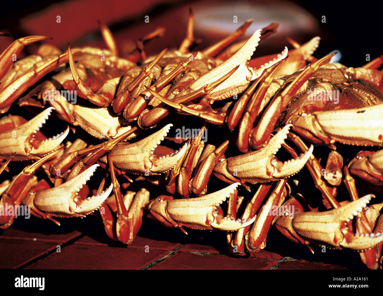 Uscsan hires stock photography and images Alamy