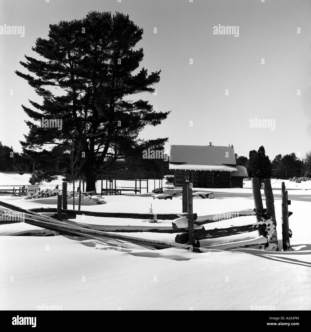 Farm hedge Black and White Stock Photos & Images - Alamy