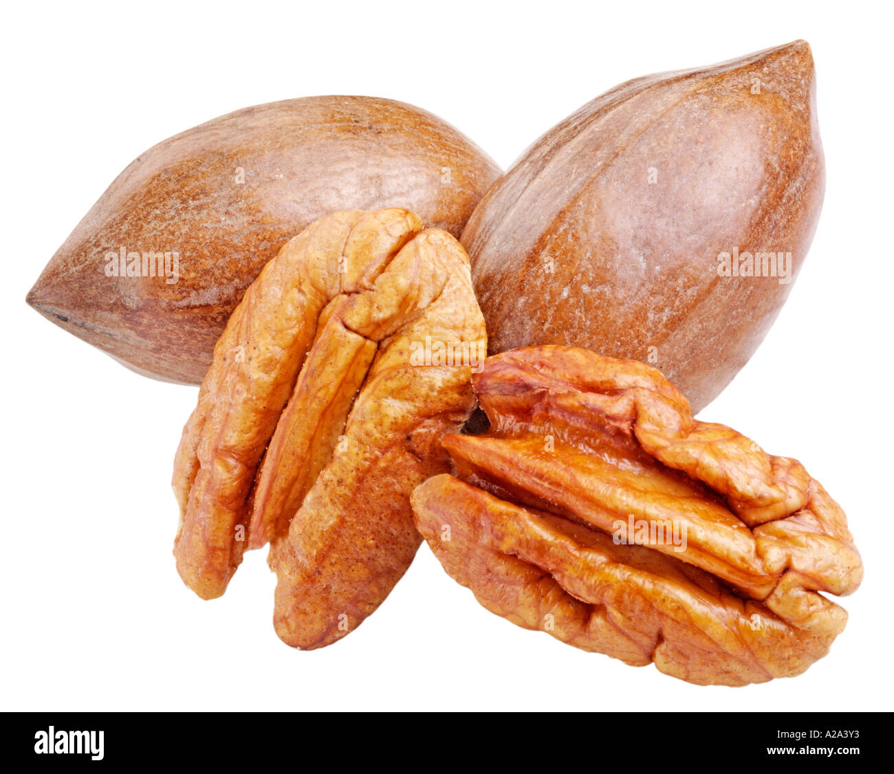 PECAN NUTS CUT OUT Stock Photo
