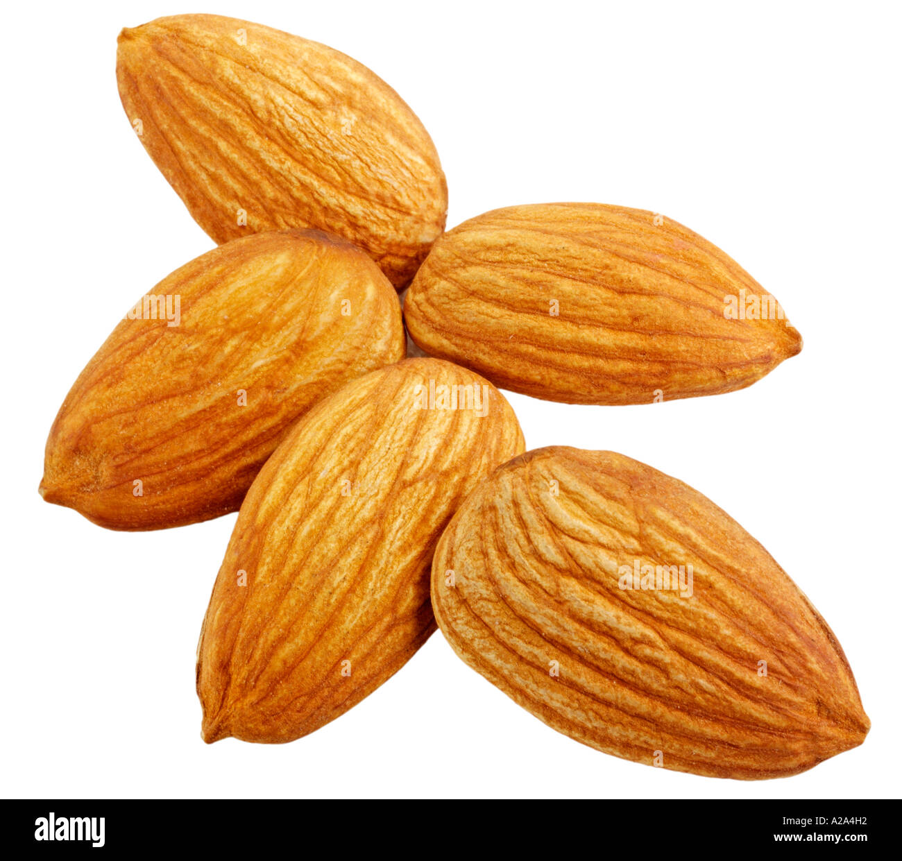 FIVE ALMONDS CUT OUT Stock Photo