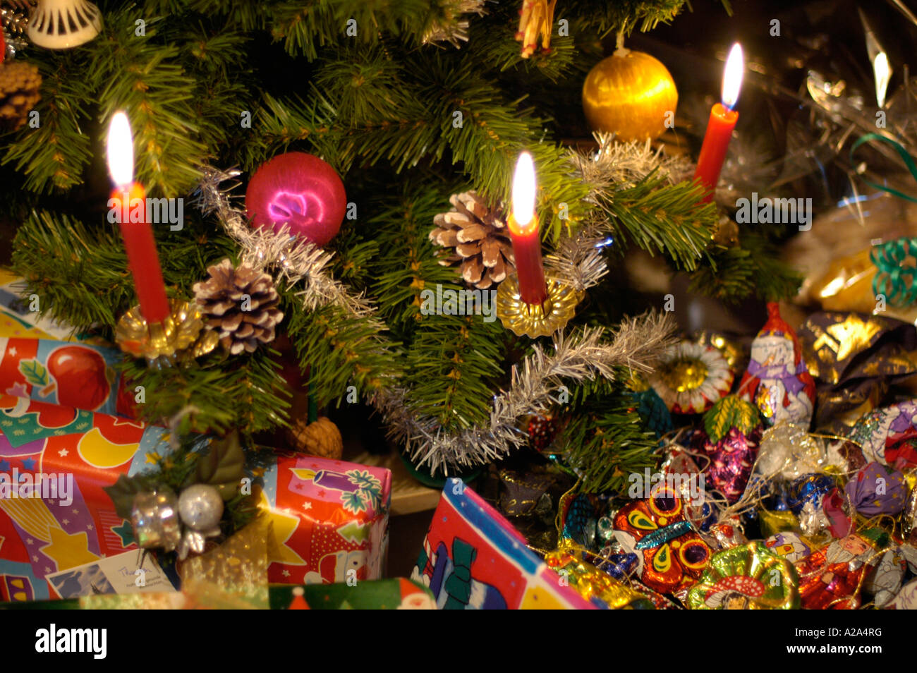 Time to throw away christmas tree hires stock photography and images