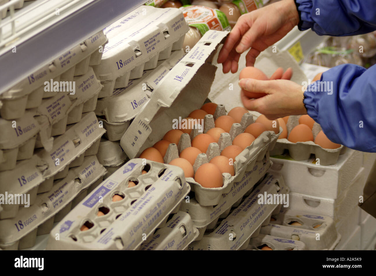 Eggs at the grocery store Stock Photo Alamy